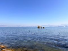 -洱海月湿地公园