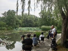 -洛阳市隋唐城遗址植物园