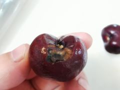 -麦德龙(嘉定店)