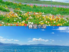 -赛里木湖风景名胜区