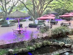 -浙江宾馆·花园餐厅·自助餐厅·茶吧