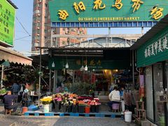 -曲阳花鸟市场(曲阳路店)