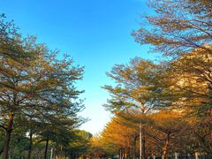 -广东工业大学(大学城校区)