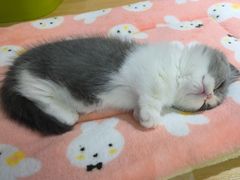 -永旺梦乐城(金银潭店)