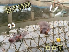 -太原动物园