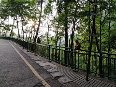 -黔灵山公园