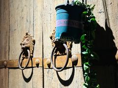 -雀舞云南菜(天津天河城购物中心店)