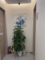 -禾美嘉医疗美容