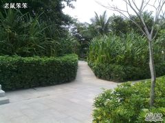 环境-三亚亚龙湾红树林度假酒店