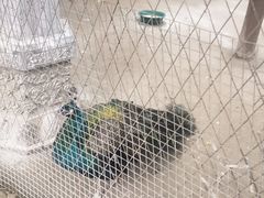 -罔极寺