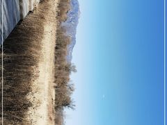 -野鸭湖国家湿地公园