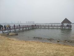 -瑶湖郊野森林公园