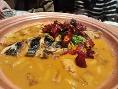 -柿合缘新京菜(国金中心商场店)