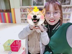 -学知乐教育·幼小衔接·小学科辅导(嘉定镇校区)