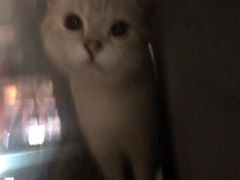 -联合动物医院(光谷诊疗中心)