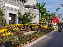 -芜湖新华联大白鲸海洋公园