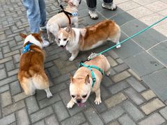 -太阳岛度假酒店