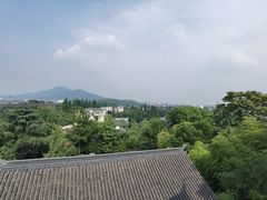 -鸡鸣赐茶(鸡鸣寺路店)