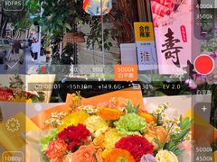 -溪岸路花鸟市场