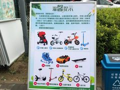 -大兴滨河森林公园