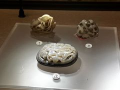 -呼和浩特博物馆