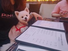 -El Bodegon阿根廷秘鲁餐厅(幸福路店)
