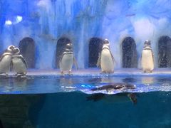 -常州海昌海洋探索馆