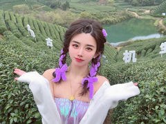 -龙坞茶村