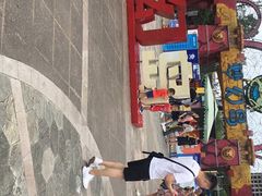 -南湖梦幻岛