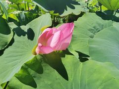 -杜氏旅游度假区