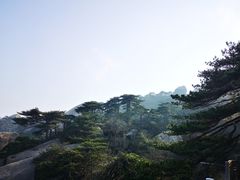 -天柱山风景区