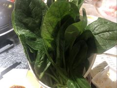-洪氏嗨捞·广东猪肚鸡·椰子鸡火锅(西咸万象城店)