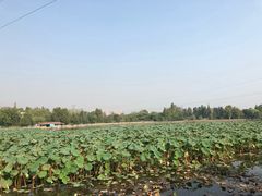 -张公山寨景区