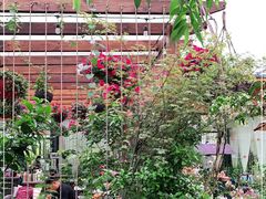 -大隐花事(熊婆婆的花园店)