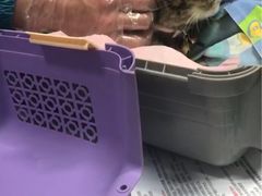 -纳吉亚猫专科动物医院博雅分院