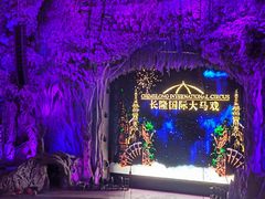 -广州长隆国际大马戏