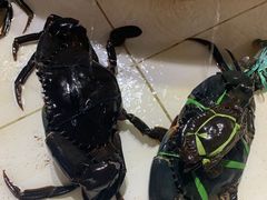-海盗餐厅