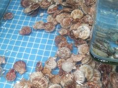 -和源祥·日照菜扛把子(万平口一店)