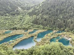 -九寨沟-树正沟