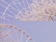 -上海辰山植物园