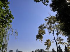 -57号足浴
