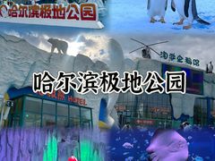 -老妈厨房团圆饺子东北菜(北环路店)