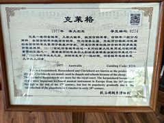 -鼓浪屿钢琴博物馆