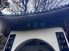 -十八棵（老龙井）御茶园(老龙井店)