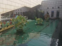 -陕西自然博物馆