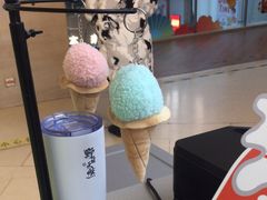 -野人先生现做冰淇淋(北京悠唐购物中心店)