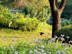 -云溪植物园