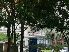 -上海中医药大学附属曙光医院(东部)