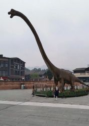 -恐龙探索乐园(磁器口店)