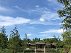 -同里国家湿地公园
